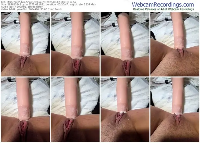 2025/08/12/stripchat-zasmin3-10-21-51