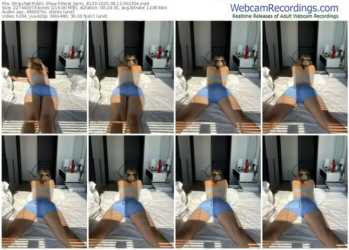 2025/08/12/stripchat-feral_berry_8133-06-23-54