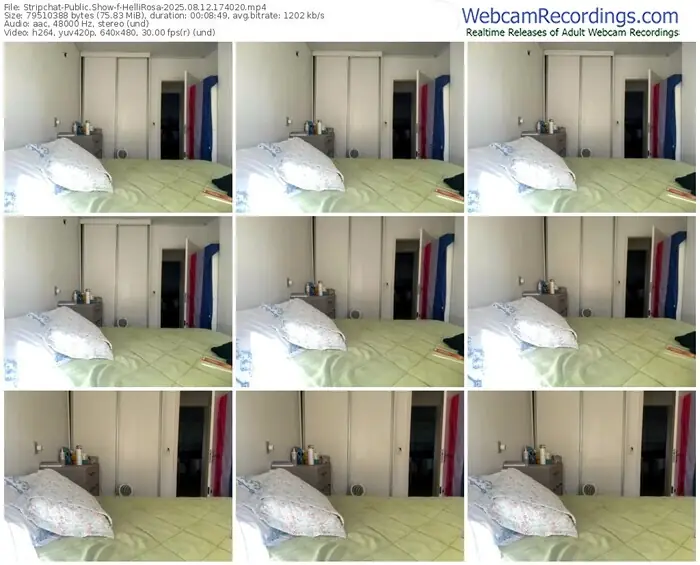 2025/08/12/stripchat-hellirosa-17-40-20