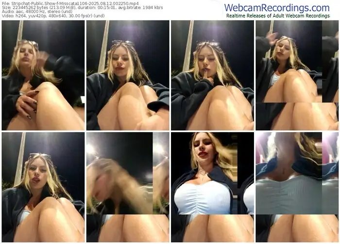 2025/08/12/stripchat-misscata1106-00-22-50