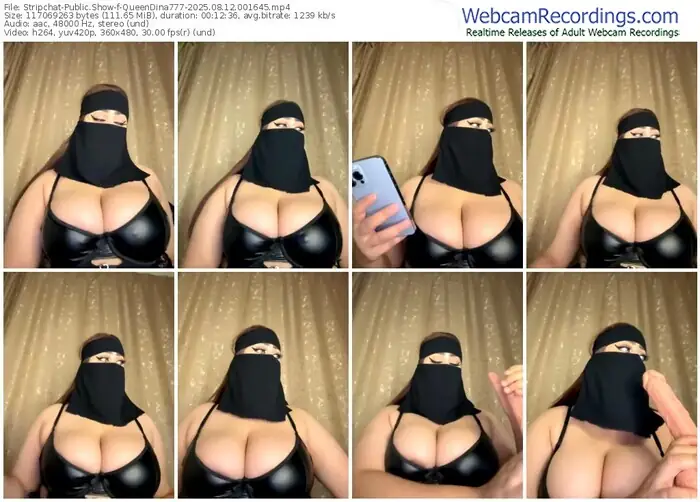 2025/08/12/stripchat-queendina777-00-16-45