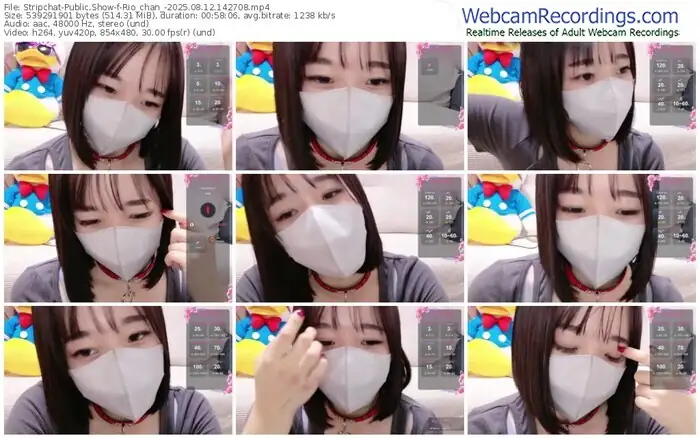 2025/08/12/stripchat-rio_chan_-14-27-08