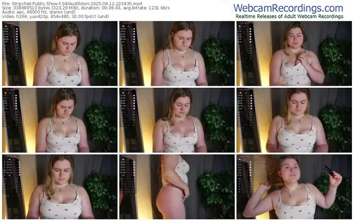 2025/08/12/stripchat-sibleyallston-22-34-35