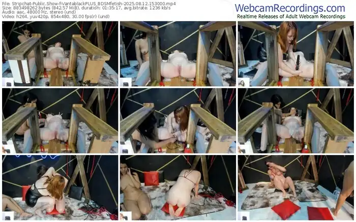 2025/08/12/stripchat-vantablackplus_bdsmfetish-15-30-00
