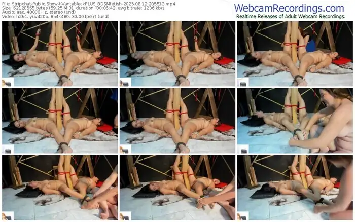 2025/08/12/stripchat-vantablackplus_bdsmfetish-20-55-13