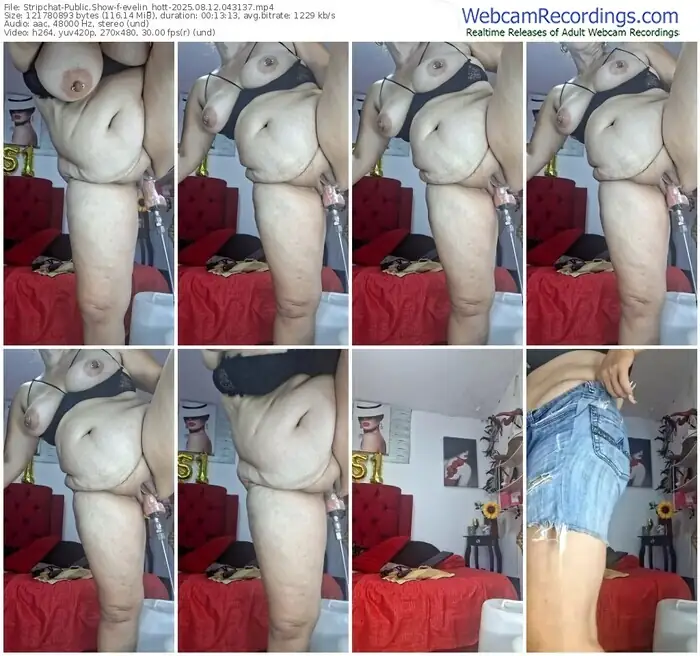 2025/08/12/stripchat-evelin_hott-04-31-37