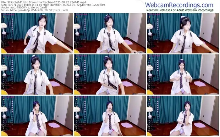 2025/08/12/stripchat-hanbaobao-12-47-41