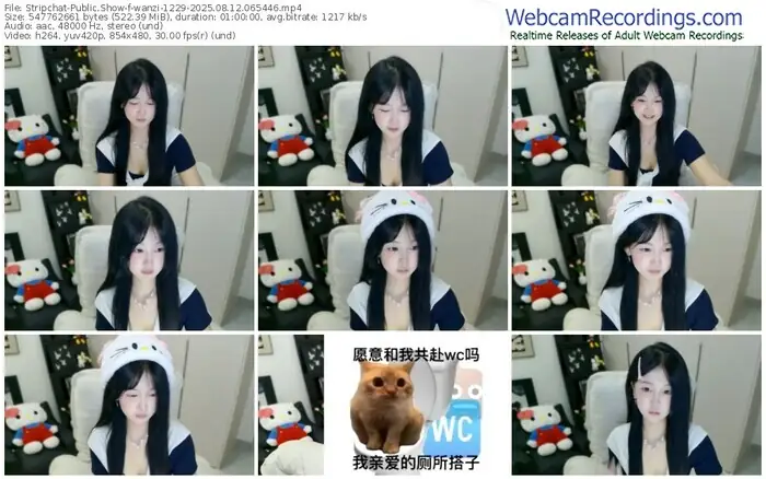 2025/08/12/stripchat-wanzi-1229-06-54-46