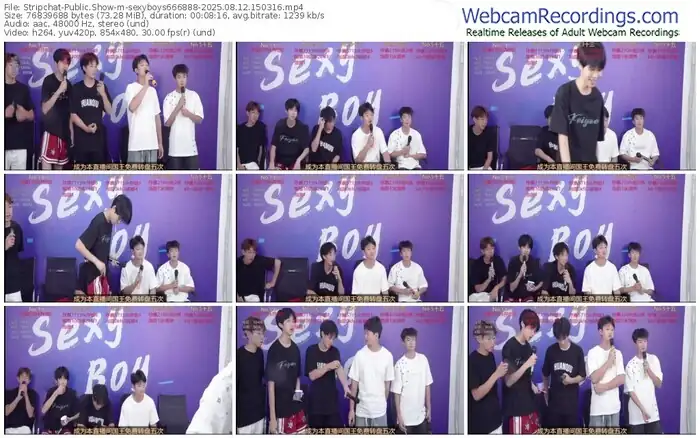 2025/08/12/stripchat-sexyboys666888-15-03-16