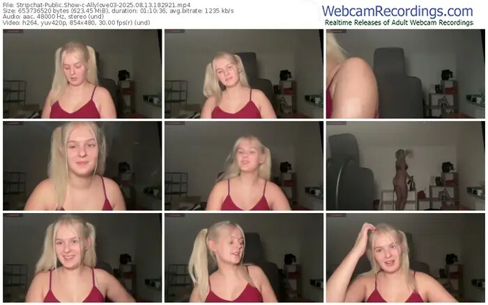2025/08/13/stripchat-allylove03-18-29-21
