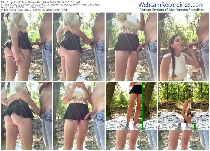 2025/08/13/stripchat-bad_idea-09-01-02