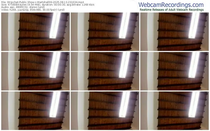2025/08/13/stripchat-martshall09-23-16-34