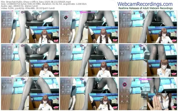 2025/08/13/stripchat-office_sexy-03-58-25