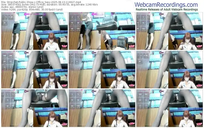 2025/08/13/stripchat-office_sexy-11-48-27