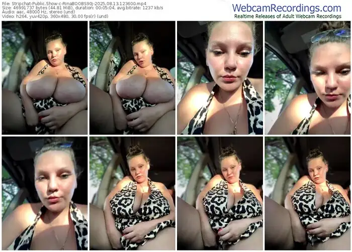 2025/08/13/stripchat-rinaboobs90j-12-36-00