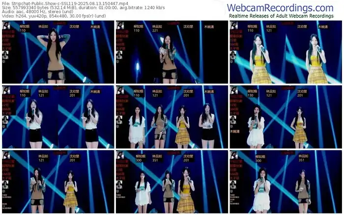 2025/08/13/stripchat-ssl119-15-04-47