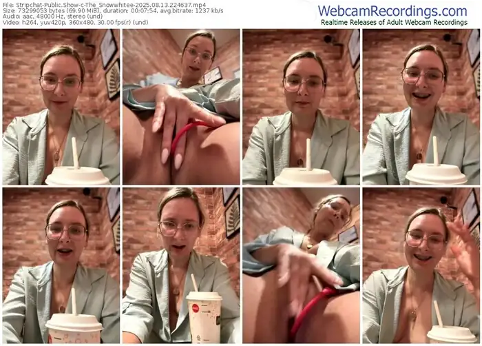 2025/08/13/stripchat-the_snowwhitee-22-46-37