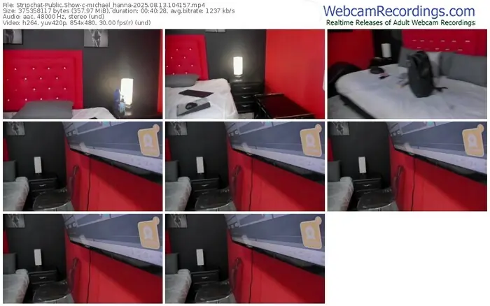 2025/08/13/stripchat-michael_hanna-10-41-57