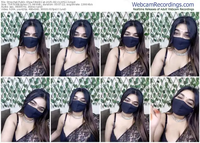 2025/08/13/stripchat-bold-cat-20-51-13