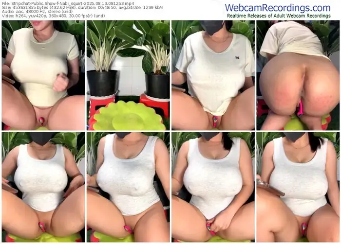2025/08/13/stripchat-nabi_squirt-08-12-53