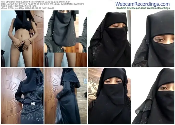 2025/08/13/stripchat-noorkhatoon-12-40-37