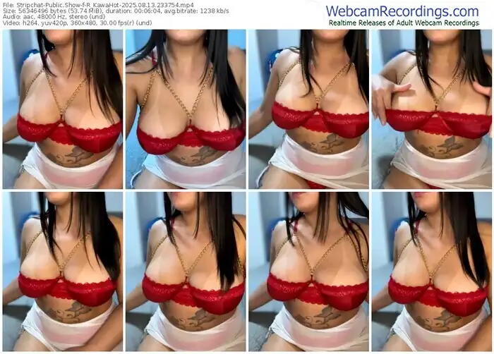 2025/08/13/stripchat-r_kawahot-23-37-54