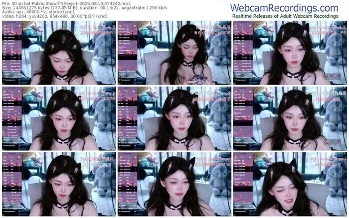 2025/08/13/stripchat-sheep-1-07-42-42