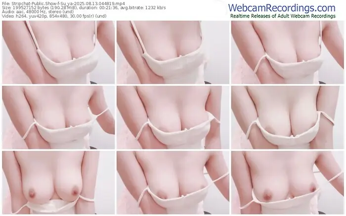 2025/08/13/stripchat-su_ya-04-48-19