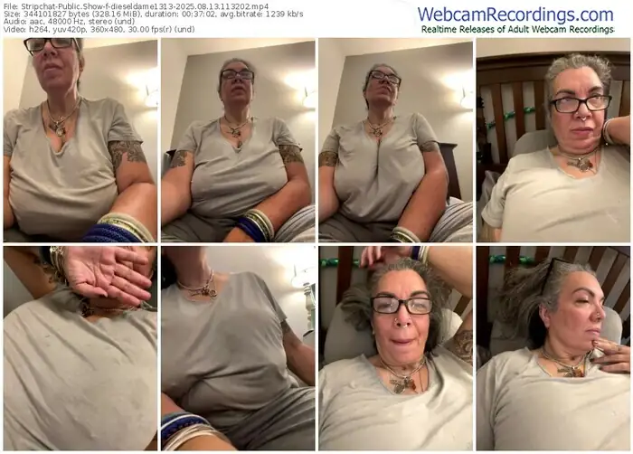 2025/08/13/stripchat-dieseldame1313-11-32-02