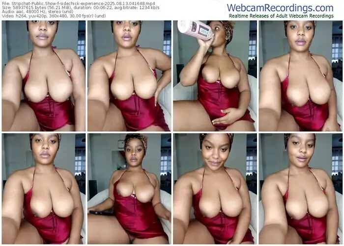 2025/08/13/stripchat-sidechick-experience-04-16-48