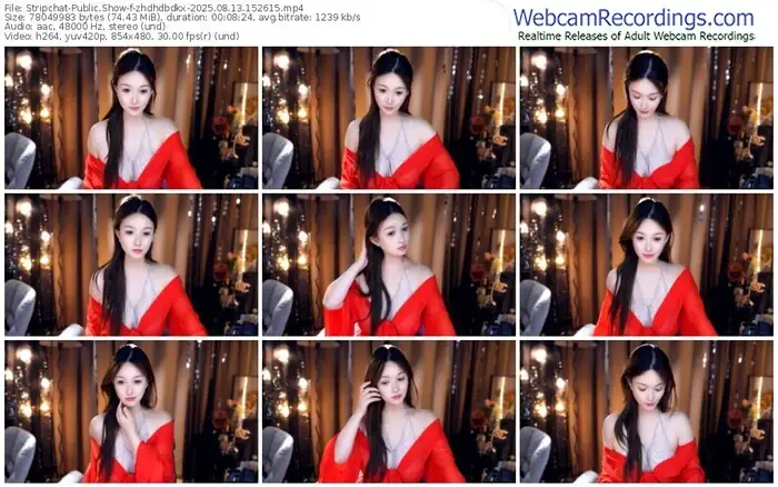 2025/08/13/stripchat-zhdhdbdkx-15-26-15