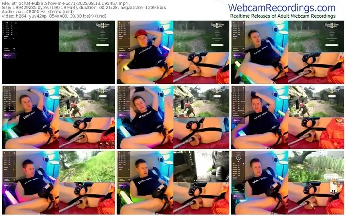 2025/08/13/stripchat-fuc71-19-54-57