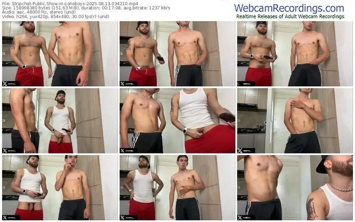 2025/08/13/stripchat-zoneboys-03-42-10