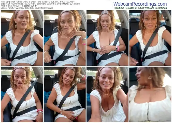 2025/08/14/stripchat-erotic_and_exotic-00-34-03