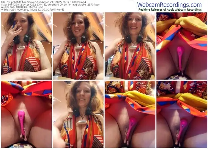 2025/08/14/stripchat-exhibitionsplit-12-08-13
