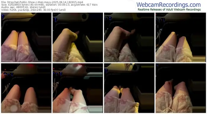 2025/08/14/stripchat-meii-meyy-18-28-15
