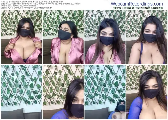2025/08/14/stripchat-bold-cat-20-09-36