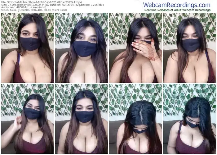 2025/08/14/stripchat-bold-cat-23-22-44