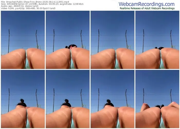 2025/08/14/stripchat-ice_bronx-11-29-51