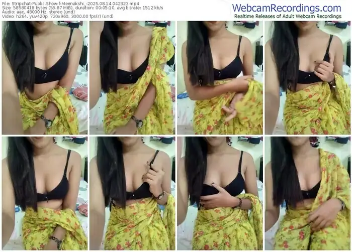 2025/08/14/stripchat-meenakshi_-04-23-23