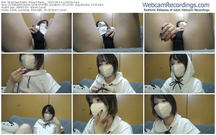 2025/08/14/stripchat-rena__-12-45-29
