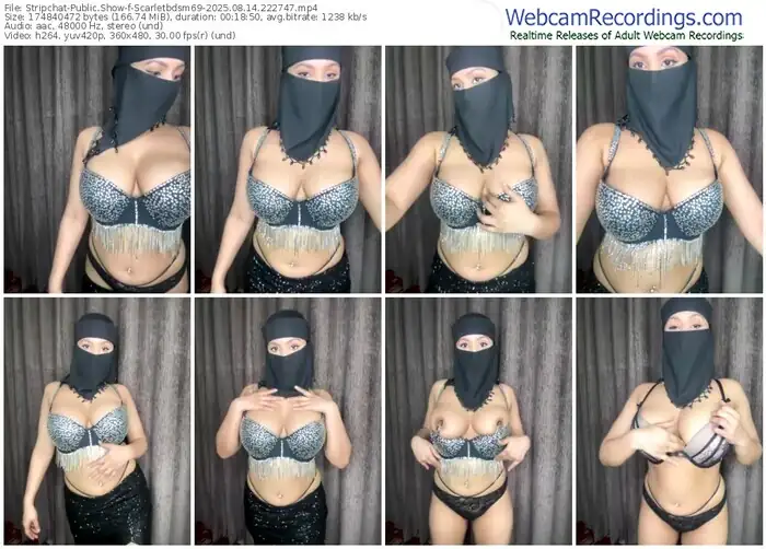 2025/08/14/stripchat-scarletbdsm69-22-27-47