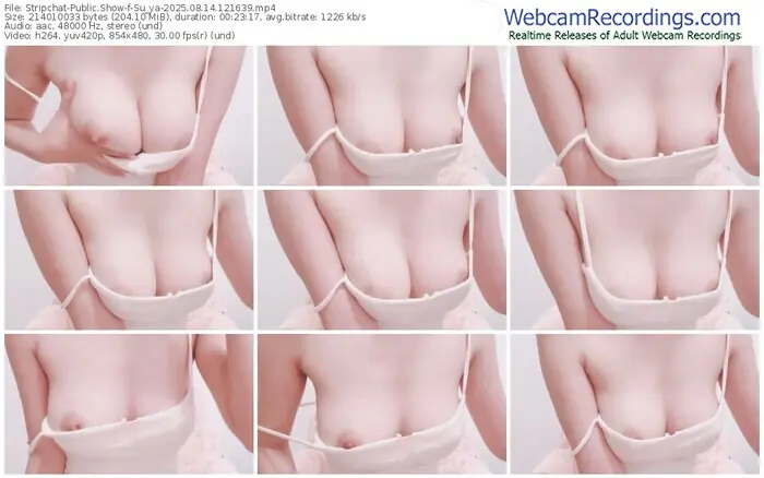 2025/08/14/stripchat-su_ya-12-16-39