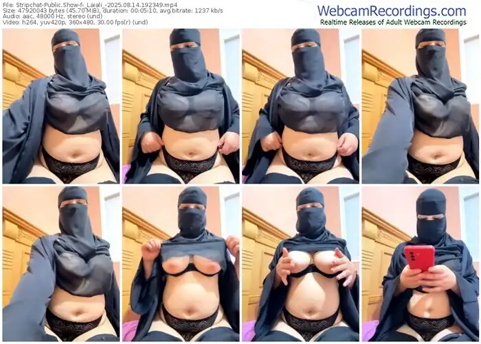 2025/08/14/stripchat-_laiali_-19-23-49