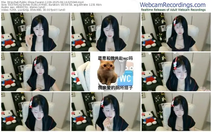 2025/08/14/stripchat-wanzi-1229-02-50-46