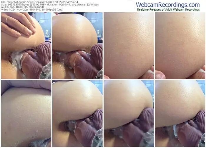 2025/08/15/stripchat-zasmin3-05-54-32