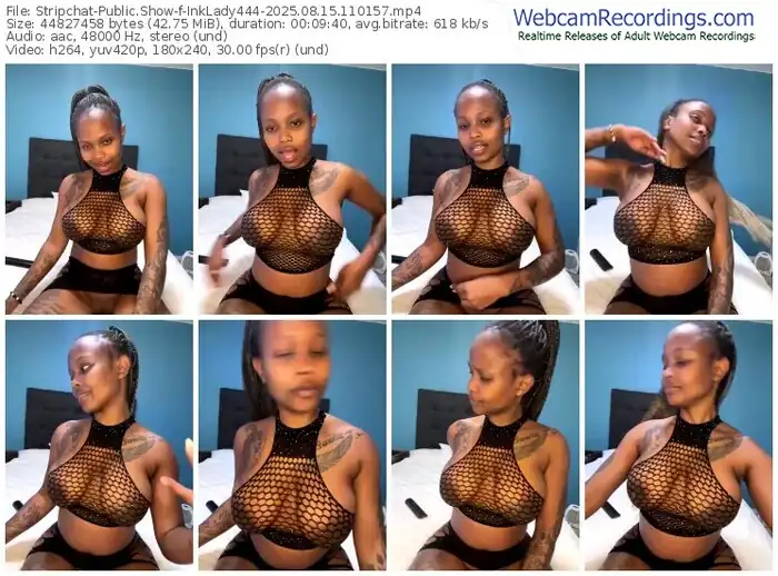 2025/08/15/stripchat-inklady444-11-01-57