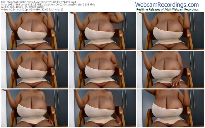 2025/08/15/stripchat-katt008-07-44-09