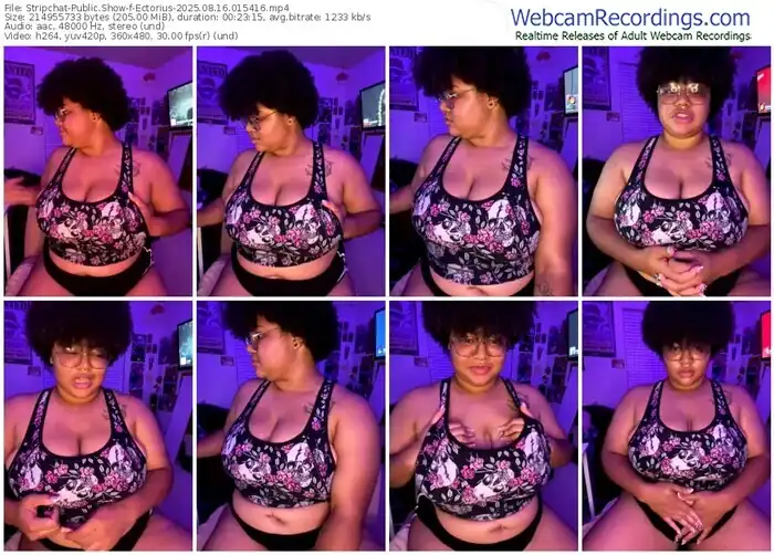 2025/08/16/stripchat-ectorius-01-54-16