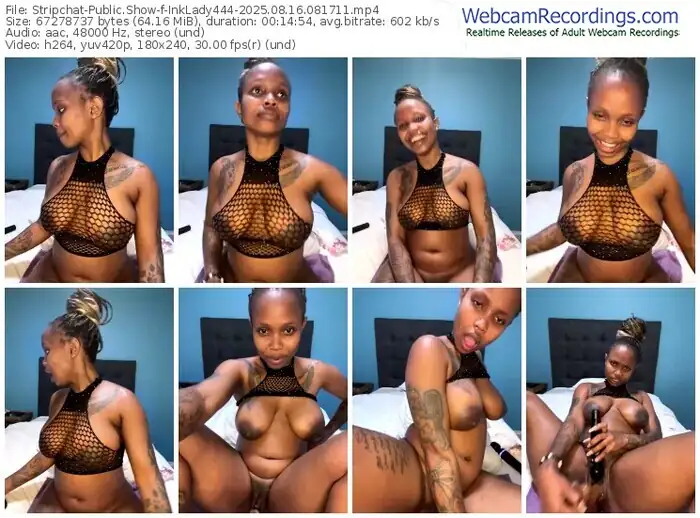 2025/08/16/stripchat-inklady444-08-17-11